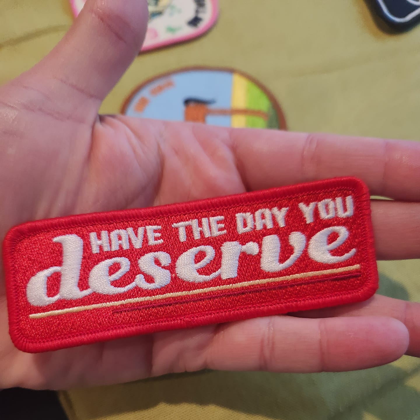 RESTOCK Arriving 5/31 Have the Day You Deserve Iron-On PATCH