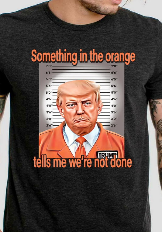 Something in the Orange/Trump DTF - Texas Transfers and Designs